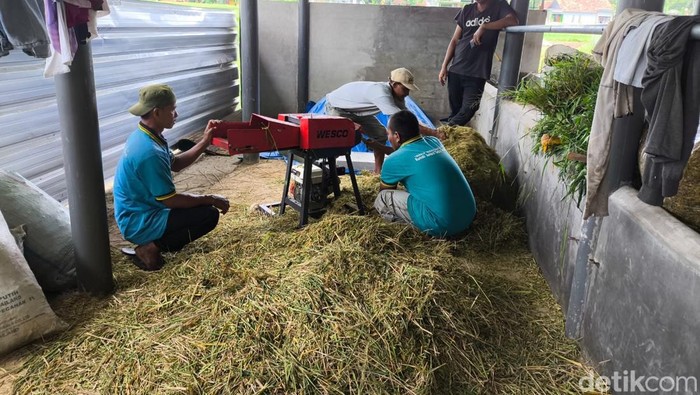 1763010928181-odgj-dilatih-berdaya-di-kuningan-1762925477560_169