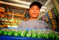 1763053979259-pelaku-usaha-muda-berkembang-di-sukabumi-1763029484731_169