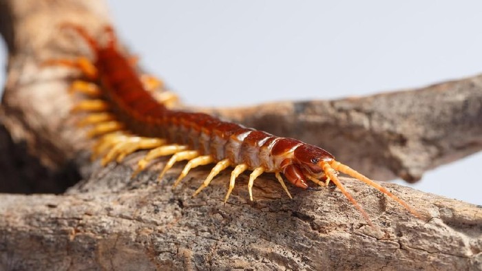 1763075555924-053ac0e5-298f-4695-a513-d49aa9b1c92b_169