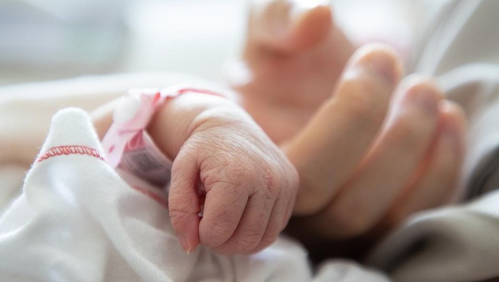 1763334807491-ilustrasi-bayi-prematur_169