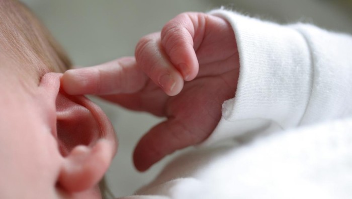 1763378286539-ilustrasi-bayi-diajak-nonton-konser-1_169