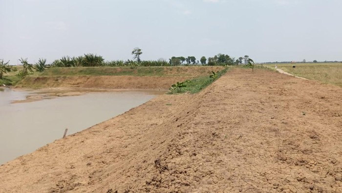 1763399599433-pemkab-indramayu-bangun-embung-di-desa-sumbermulya-kecamatan-haurgeulis-1763356255513_169