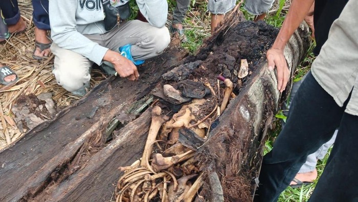 1763550266777-kerangka-manusia-ditemukan-di-pohon-1757514425480_169