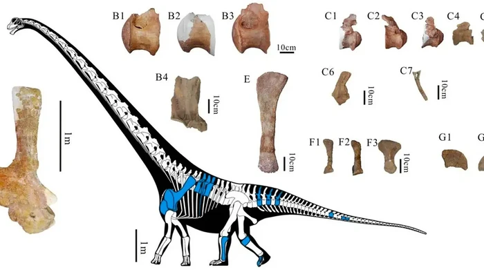 1763571861895-dinosaurus-berukuran-29-meter-di-china-1763364750199_169