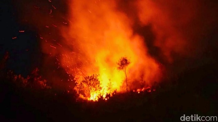 1763571875300-ilustrasi-kebakaran-lahan-pada-malam-hari-1745461127902_169