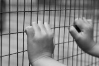 1764003849703-c3f1bf40-9e8a-4f47-bfdb-4351fb6569e8_169