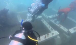 1764025462406-transplantasi-terumbu-karang-di-pantai-batukaras-1763978469915_169