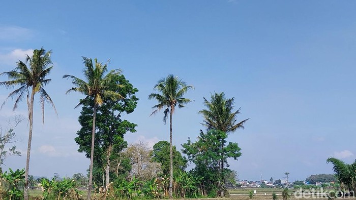 1764025466672-ilustrasi-langit-di-wilayah-kota-batu-yang-tidak-ditumbuhi-awan_169