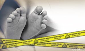 1764047074586-ad74c05f-f503-42fe-812b-0e539c1e0926_169