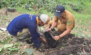 1764111862814-penanaman-tanaman-langka-gunung-ciremai-di-kuningan-1764060502121_169