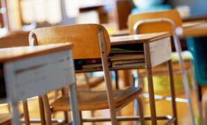 1764111864484-ilustrasi-sekolah-1753868942091_169