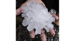 1764176666925-8a5e8ac2-e891-4dac-b26e-40c36273c963_43