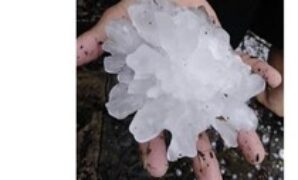 1764176666925-8a5e8ac2-e891-4dac-b26e-40c36273c963_43