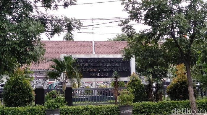 1764176687509-8d21a0a3-61bc-44d1-a8fc-55fe316cd810_169