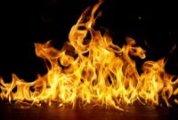 1764219913349-api-1756985712884_169