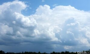 1764284667053-959ebd34-900b-4aab-b8c0-13c5d761639e_169