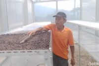 1764327904916-green-house-tenaga-surya-bantu-petani-kopi-sumedang-1764301636564_169