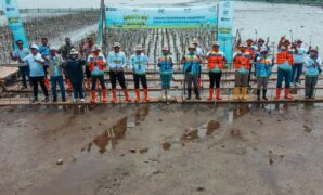 1764349467125-penanaman-pohon-mangrove-di-muara-cilamaya-wetan-oleh-pln-dan-dinas-lingkungan-hidup-kabupaten-karawang-1764329491726_169