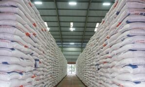 1764371067498-stok-beras-1764253332191_169