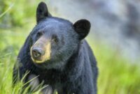 1764414271784-b40ff691-c696-4737-94a4-0e0c8c30dccd_169