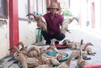 1764500692266-penyaluran-bantuan-antensi-di-indramayu-1764467899190_169