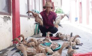 1764500692266-penyaluran-bantuan-antensi-di-indramayu-1764467899190_169