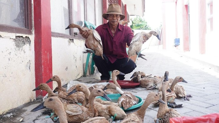 1764500692266-penyaluran-bantuan-antensi-di-indramayu-1764467899190_169