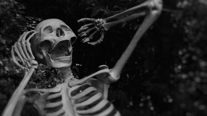 1764522284385-ilustrasi-kerangka-manusia_169