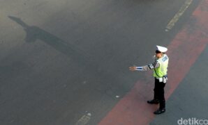 1764608711125-7cf8536c-0ef5-4679-8b18-ccd6ee007e33_169