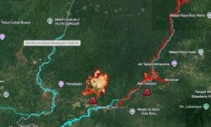 1764630269848-walhi-sumut-1764570384275_43