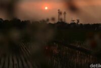 1764695076768-suasana-sore-di-pesawahan-dayeuhkolot-bandung-1_169