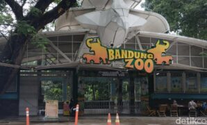 1764695084413-suasana-bandung-zoo-terkini-setelah-penutupan-1754971402848_169