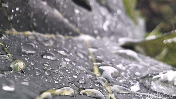 1764803088675-ilustrasi-hujan-1764385551807_169