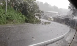 1764932673153-mencekam-tiang-listrik-ambruk-di-loji-sukabumi-warga-lari-lihat-kilatan-api-1764930154594_169