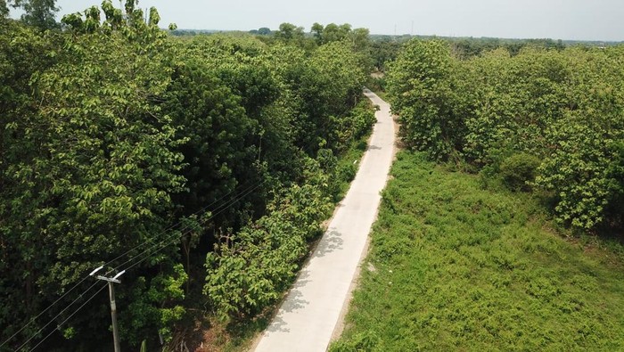 1764932676653-perbaikan-jalan-di-indramayu-1764926355878_169