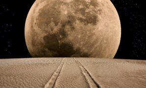 1764975864147-7d14d8dd-aba8-41b2-936e-ead084746e33_43