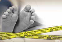 1764997496816-ad74c05f-f503-42fe-812b-0e539c1e0926_169