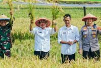 1765019076281-bupati-karawang-aep-syaepuloh-saat-panen-raya-di-karawang-1764999847754_169