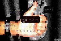 1765019084865-gambar-ilustrasi-soal-video-viral-nan-mesum-danu-damarjatidetikcom_169