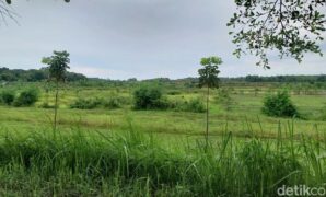 1765040688857-lokasi-untuk-sor-majalengka-1765031579463_169