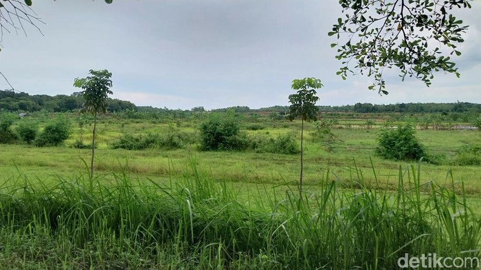 1765040688857-lokasi-untuk-sor-majalengka-1765031579463_169