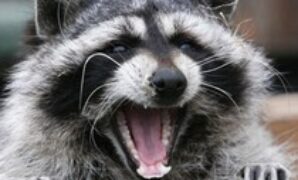 1765040689385-d4e6998c-3bb1-4cb1-8e44-d8d0e7f65f8c_43