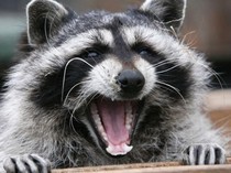 1765040689385-d4e6998c-3bb1-4cb1-8e44-d8d0e7f65f8c_43