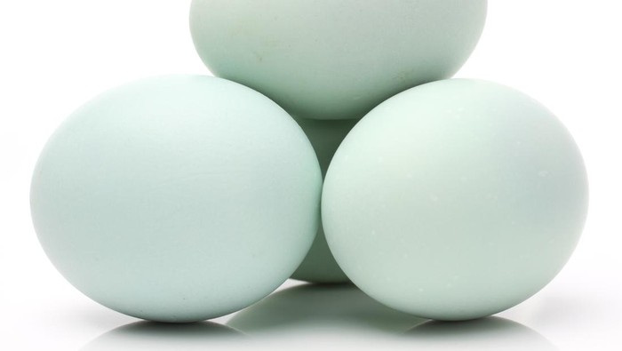 1765170256444-telur-bebek-untuk-bakmi-godog-ala-bantul_169