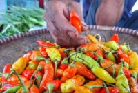 1765191862692-kadisperdagin-kabupaten-bandung-dicky-anugrah-1765165849435_169