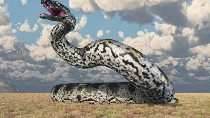 1765213479640-titanoboa_169