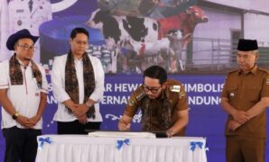 1765278255377-bupati-bandung-barat-jeje-ritchie-ismail-meresmikan-rumah-potong-hewan-rph-baru-di-kbb-1765261422243_169