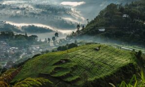 1765278267708-ilustrasi-kawasan-puncak-1765268740724