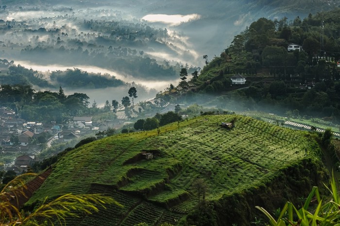 1765278267708-ilustrasi-kawasan-puncak-1765268740724