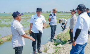 1765299864671-bupati-karawang-aep-syaepuloh-saat-mengecek-saluran-irigasi-sawah-1765280116553_169